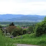 Zum Rebberg