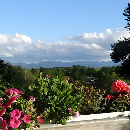 Zum Rebberg Freiburg im Breisgau