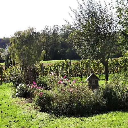 Zum Rebberg * Freiburg im Breisgau