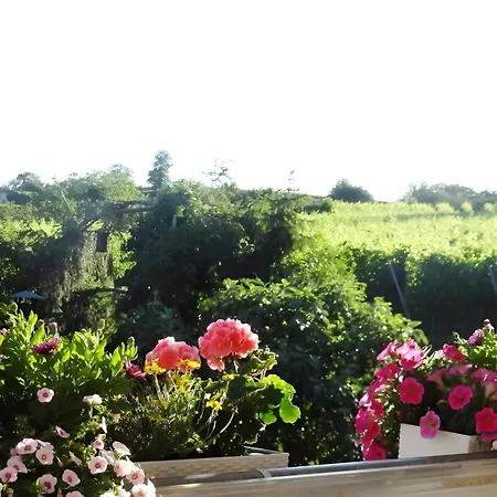 Zum Rebberg * Fryburg Bryzgowijski