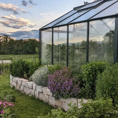 Zum Rebberg Apartament Fryburg Bryzgowijski