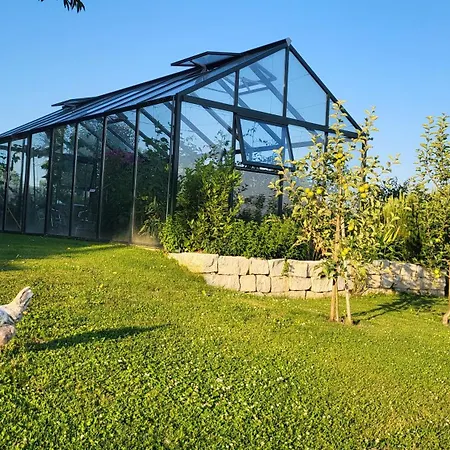 Zum Rebberg * Fryburg Bryzgowijski