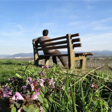 Apartman Zum Rebberg