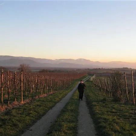 Zum Rebberg 아파트 *