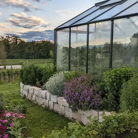 Zum Rebberg Apartman *