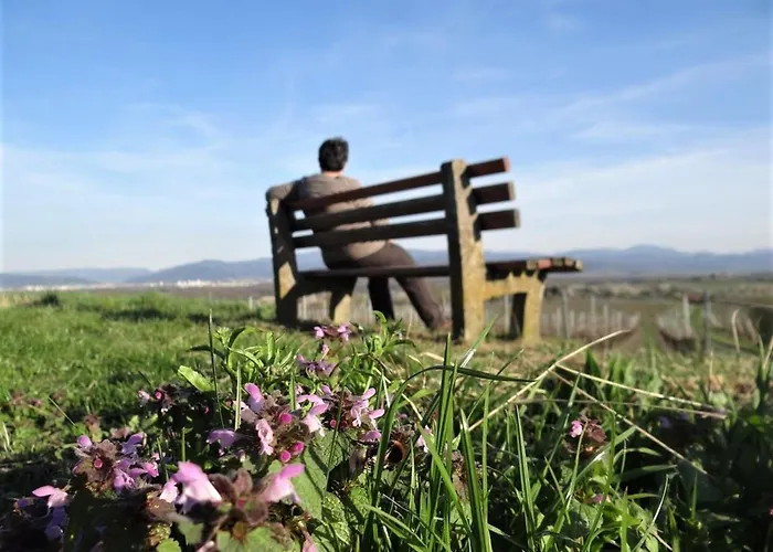 Zum Rebberg * Fryburg Bryzgowijski